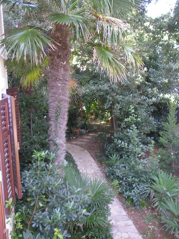 Apartments Premantura Rom bilde